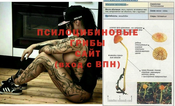 кокаин перу Алексеевка