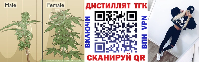 Дистиллят ТГК гашишное масло  Каменск-Уральский 