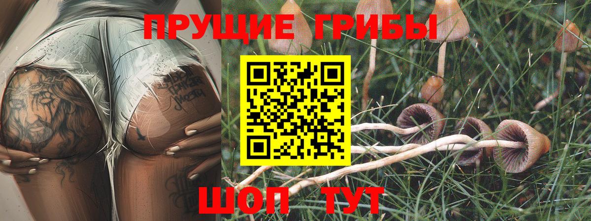 Псилоцибиновые грибы GOLDEN TEACHER  Вход с VPN  Каменск-Уральский 